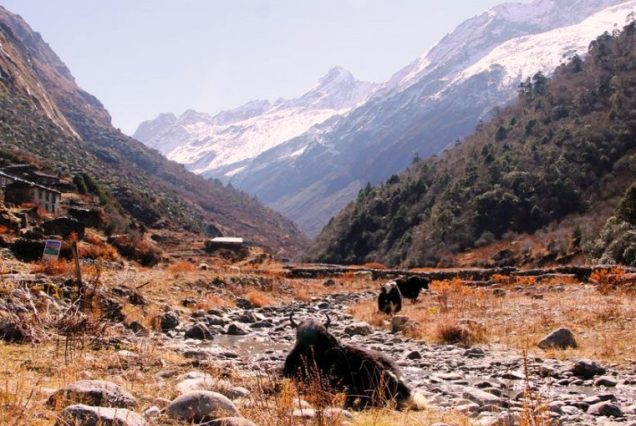 Rolwaling Valley trek